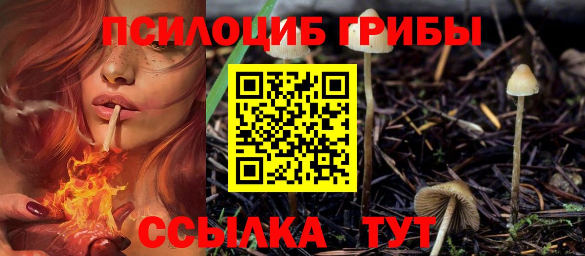 Галлюциногенные грибы прущие грибы  Вход с VPN  сколько стоит  Братск 